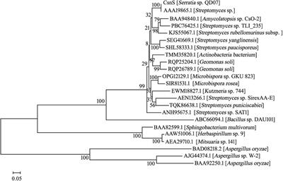 Cloning and Characterization of a New Chitosanase From a Deep-Sea Bacterium Serratia sp. QD07